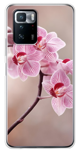 Чехол с принтом "Веточка орхидеи" для Xiaomi POCO X3 GT