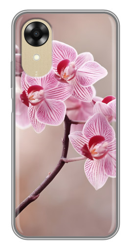 Чехол с принтом "Веточка орхидеи" для Oppo A17k