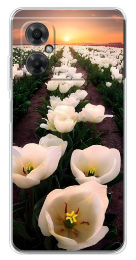Чехол с принтом "Поле тульпанов " для Xiaomi Redmi Note 11R