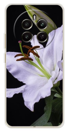 Чехол с печатью "Большая лилия" для Realme 13 4G