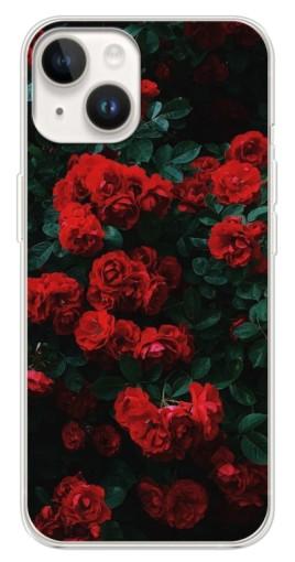 Чехол с принтом "Красные розы" для Tecno Spark Go 1