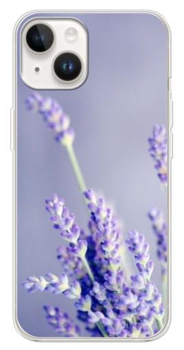Силиконовый чехол с изображением "Лаванда вблизи" для Tecno Spark Go 1