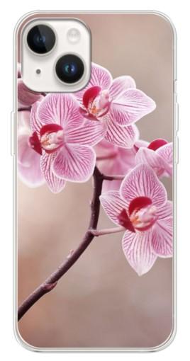 Чехол с принтом "Веточка орхидеи" для Tecno Spark Go 1