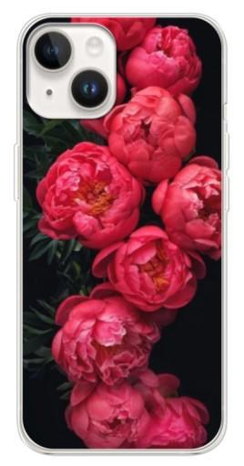 Силиконовый чехол с изображением "Яркие пионы" для Tecno Spark Go 1
