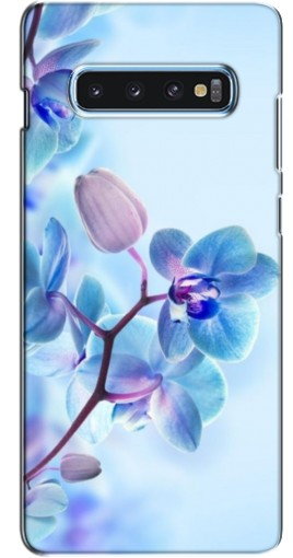 Чехол с принтом «Голубые орхидеи» для Samsung s10 Plus