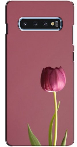 Чехол с печатью «Розовый тюльпан»  для Samsung s10 Plus